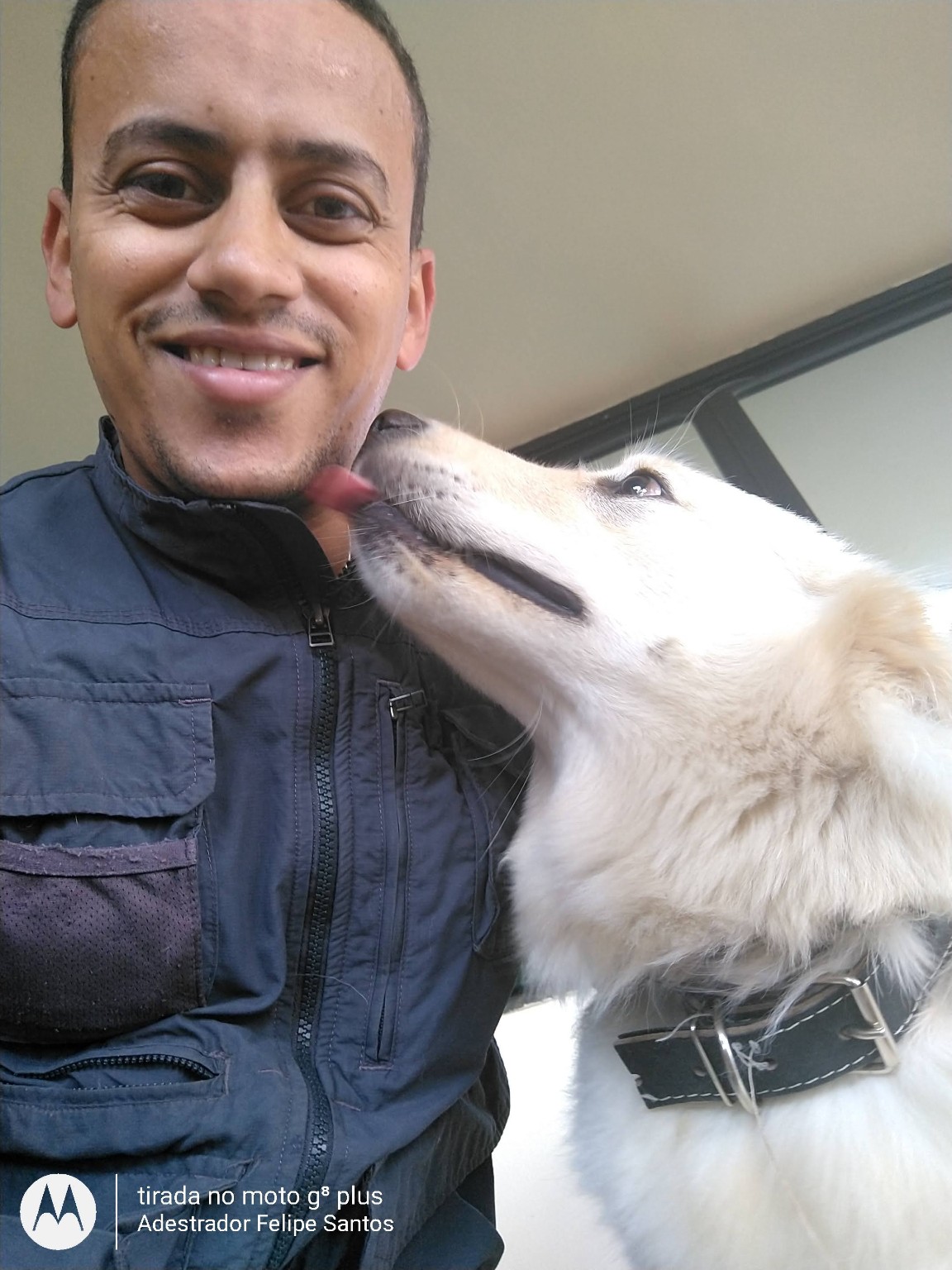 FS Adestramento Canino