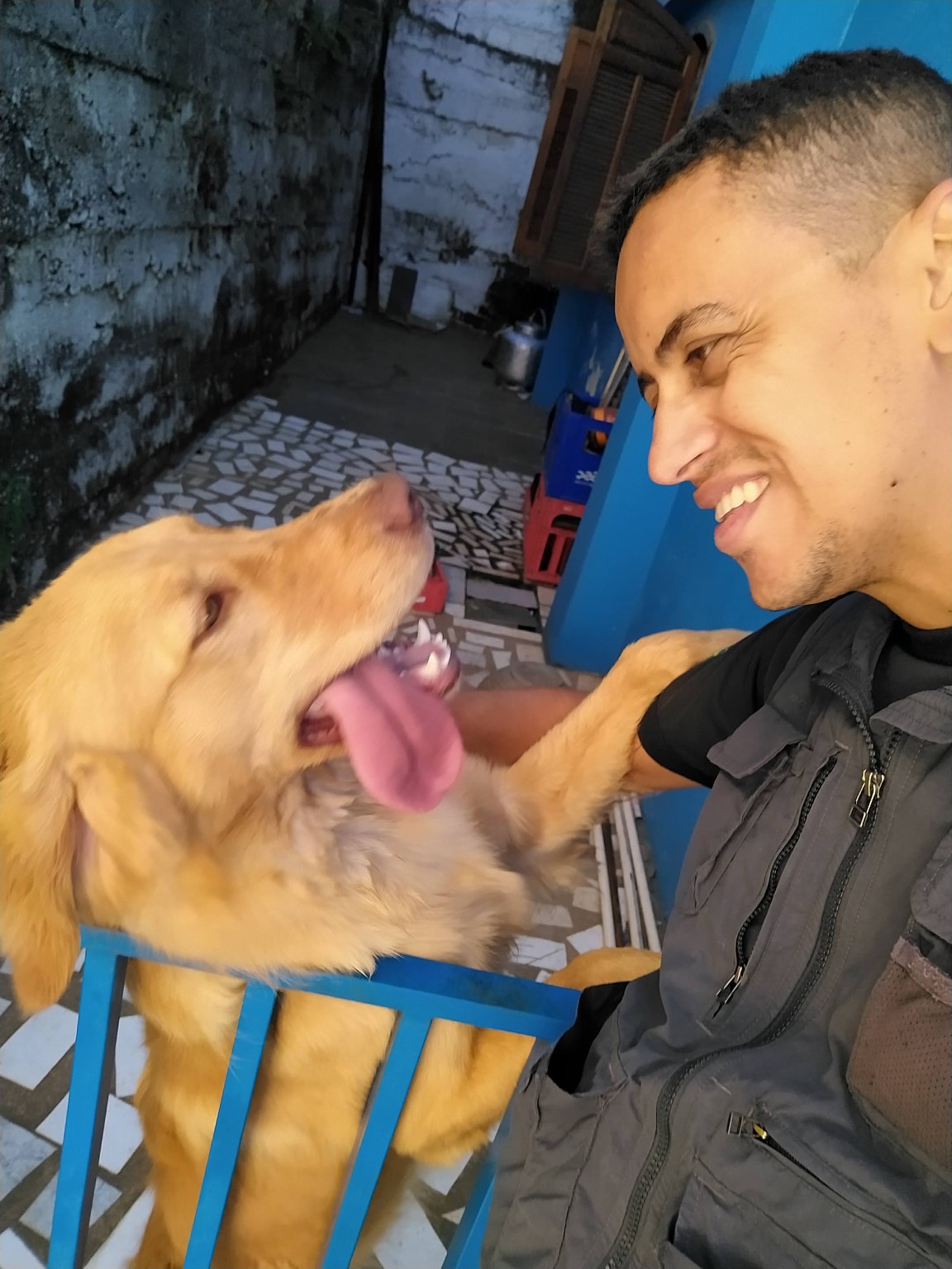 FS Adestramento Canino