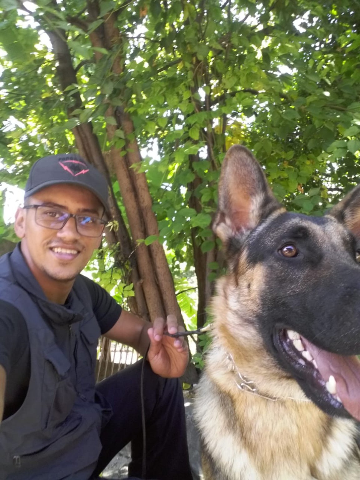 FS Adestramento Canino