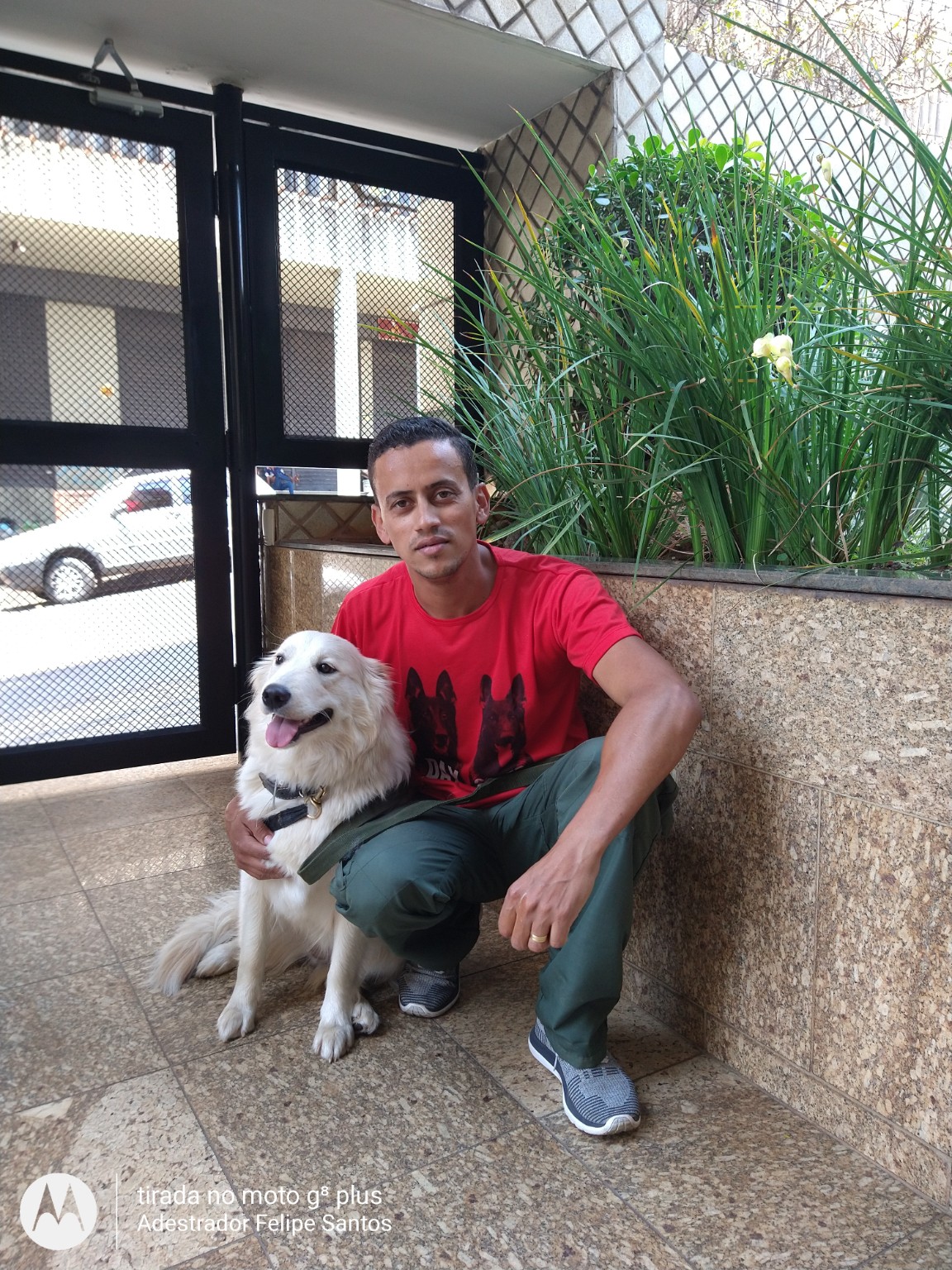 FS Adestramento Canino